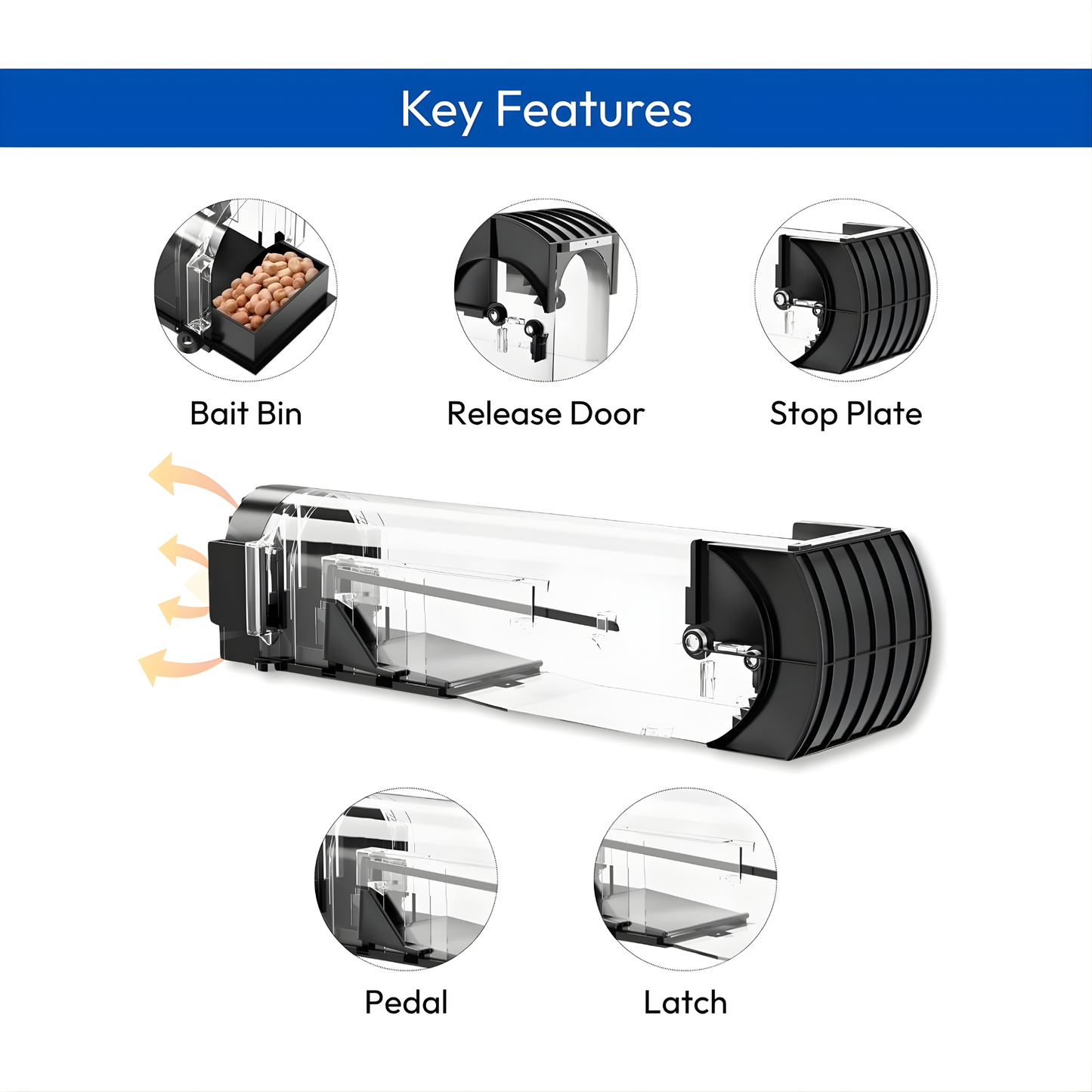 Reusable Rat Trap Box