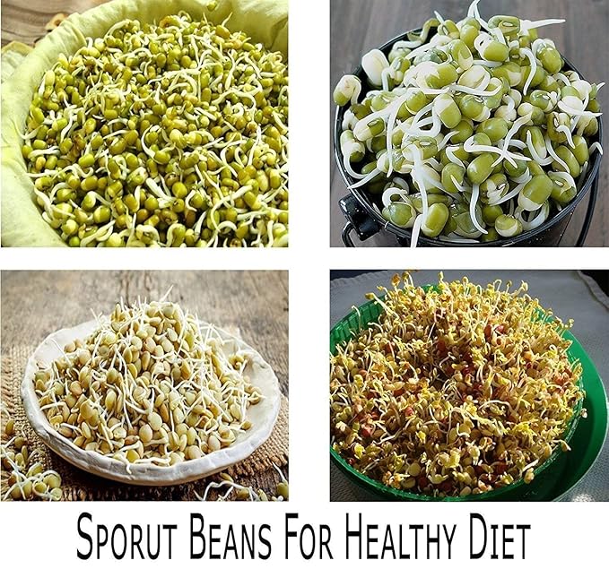 SPROUT MAKER (PLASTIC)